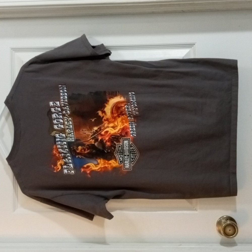 Harley-Davidson Gray Short Sleeve Pocket Tee Men’s Large - Picture 4 of 6